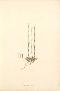 n14_w1150