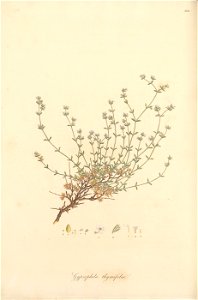 n261_w1150