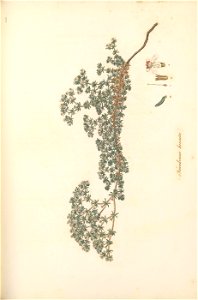 n128_w1150