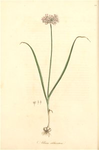 n45_w1150