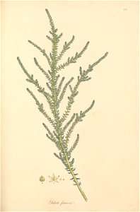 n166_w1150