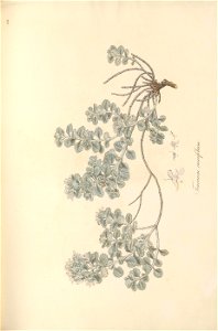 n110_w1150