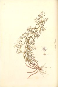 n135_w1150
