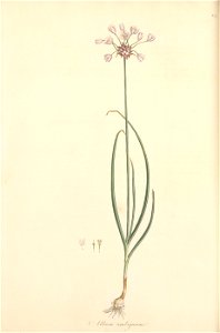 n83_w1150