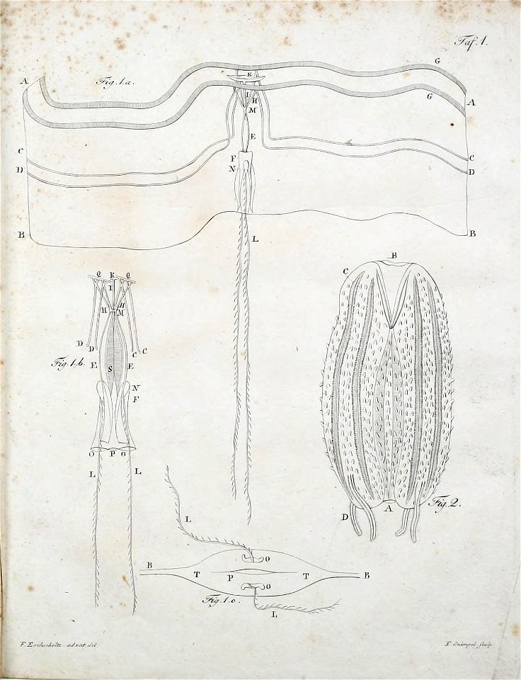 n202_w1150