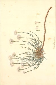 n9_w1150