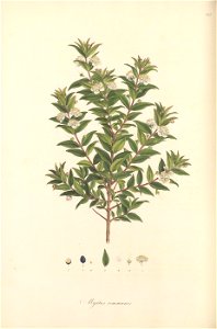n215_w1150