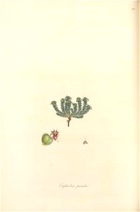 n173_w1150