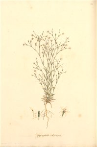 n253_w1150