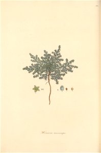 n157_w1150