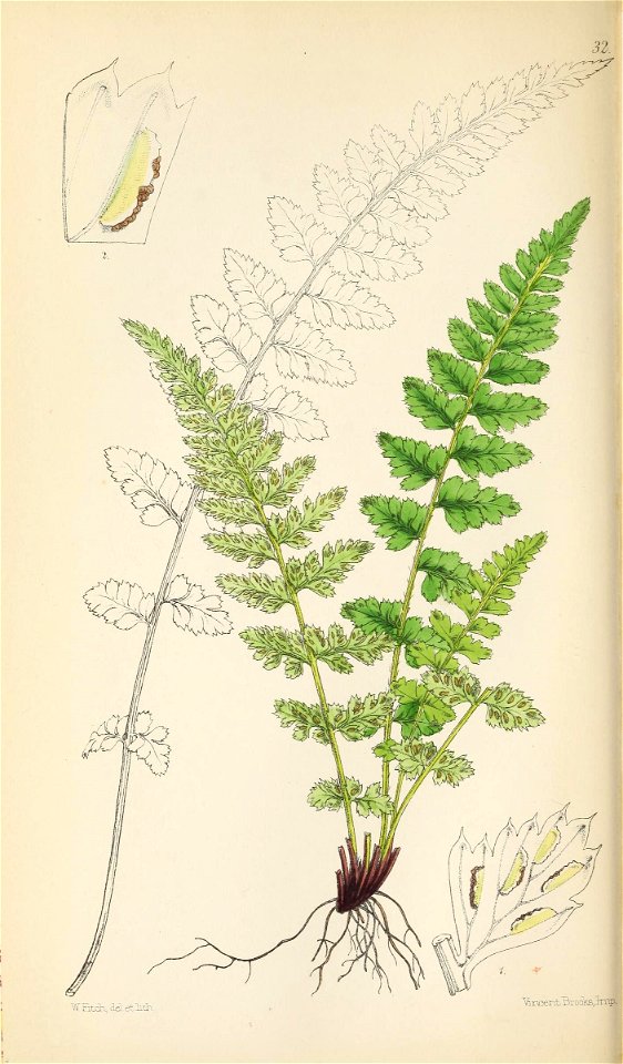 n149_w1150