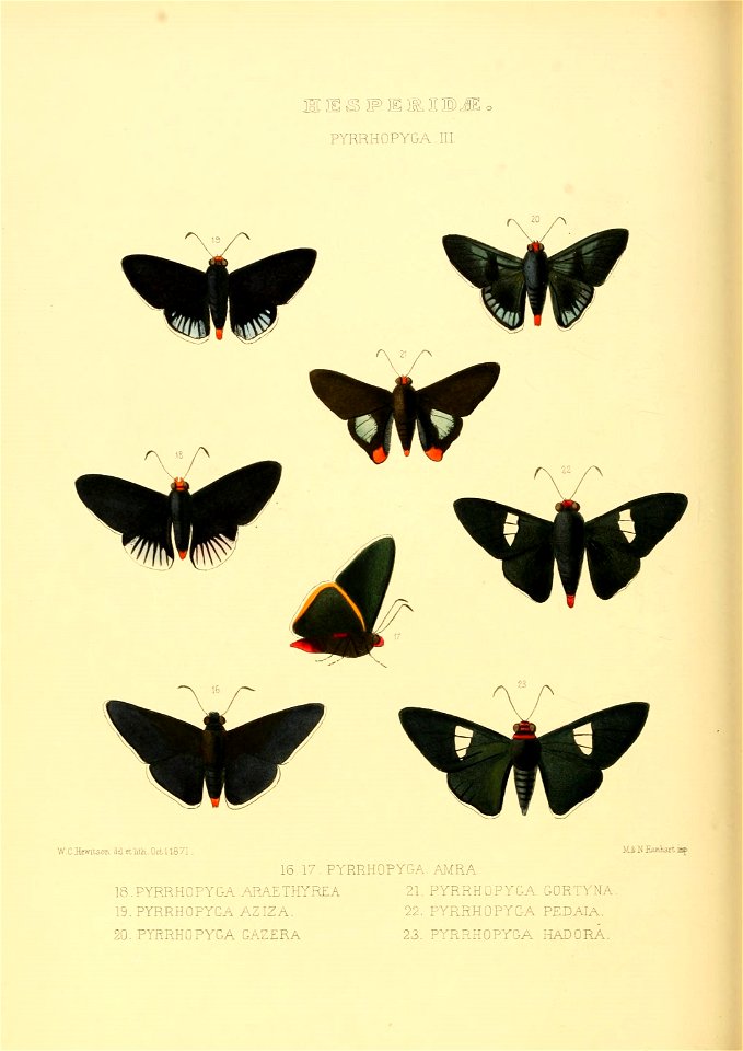 n167_w1150