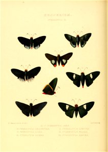 n167_w1150