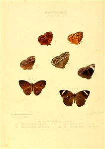 n115_w1150