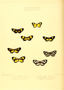 n127_w1150