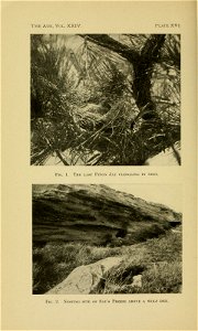 n491_w1150