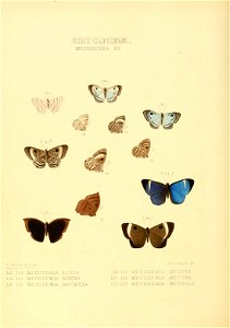 n215_w1150
