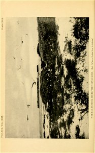 n185_w1150