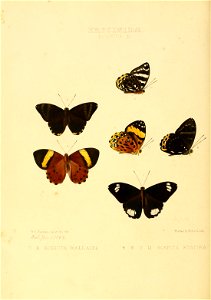 n163_w1150