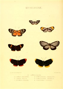 n123_w1150