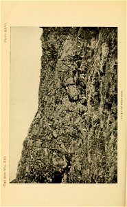 n521_w1150