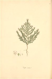 n169_w1150