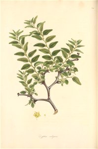 n123_w1150