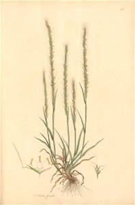 n258_w1150