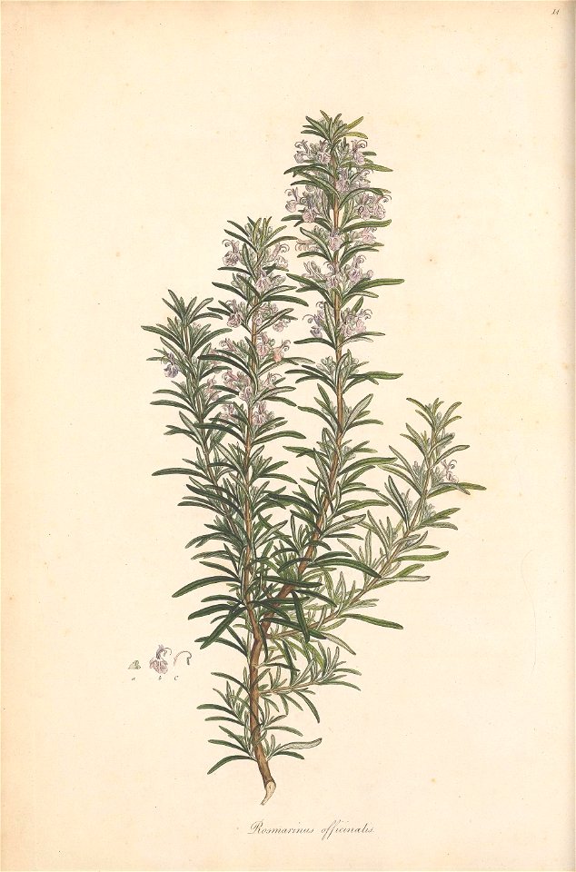 n51_w1150