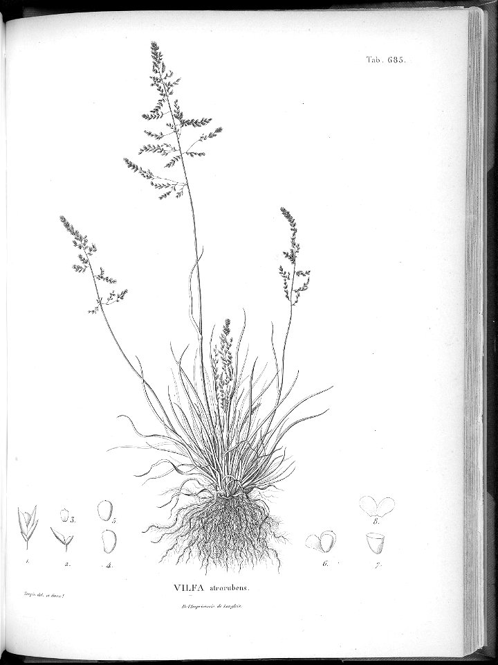 n651_w1150