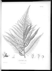 n636_w1150