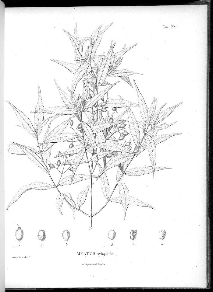 n621_w1150