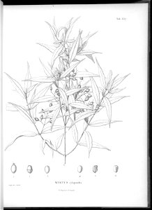 n621_w1150
