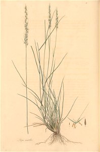 n255_w1150