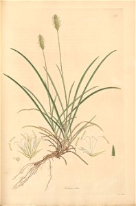 n212_w1150