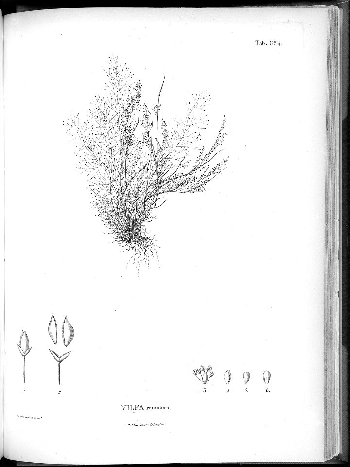 n650_w1150