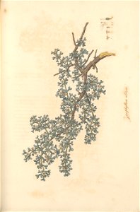 n212_w1150