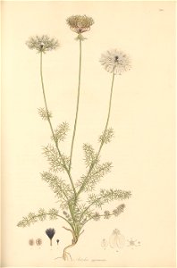 n204_w1150