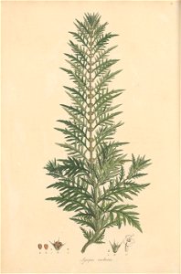 n45_w1150