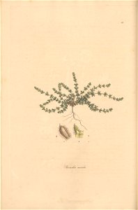 n49_w1150