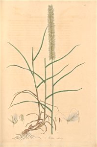 n206_w1150