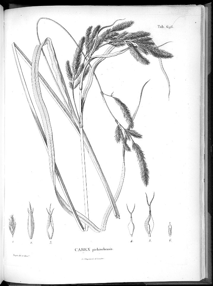 n663_w1150