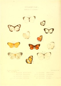 n139_w1150