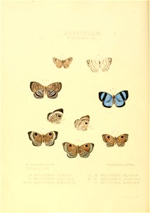 n179_w1150