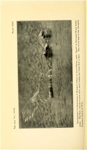 n313_w1150