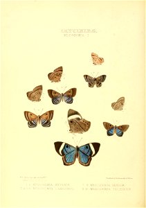 n171_w1150