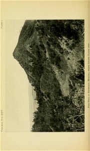 n305_w1150
