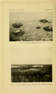 n519_w1150