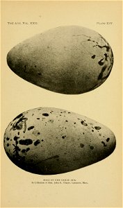 n554_w1150
