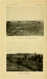 n507_w1150